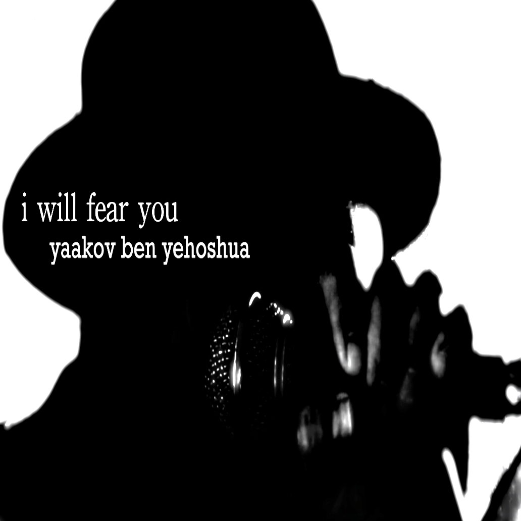 Album art for I Will Fear You